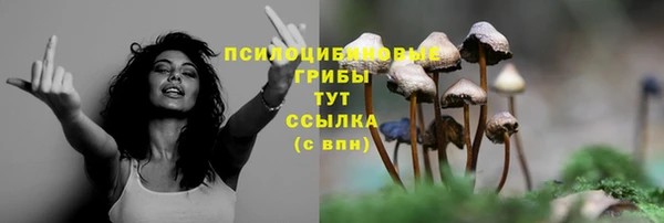 стафф Балахна